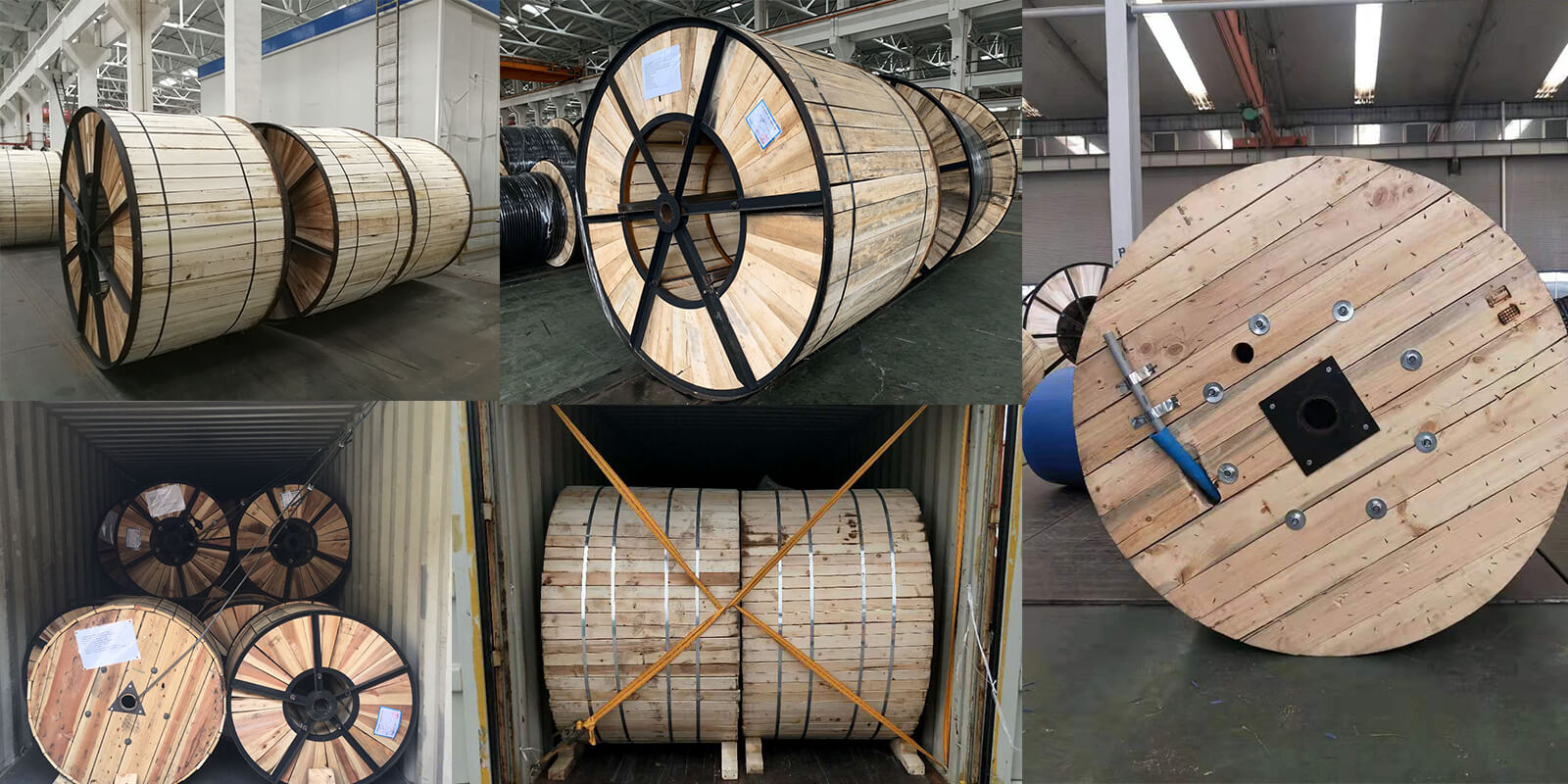 铁木盘 铁 木 盘