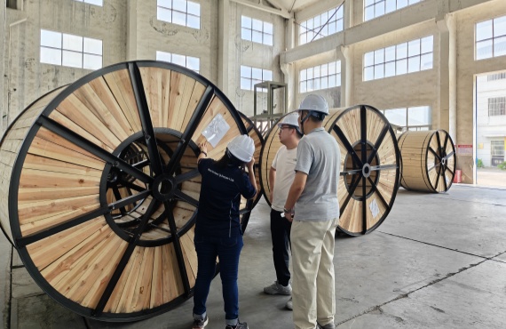 Fortalecimiento de la colaboración: GRAND CABLE acoge una visita productiva de Malaysia